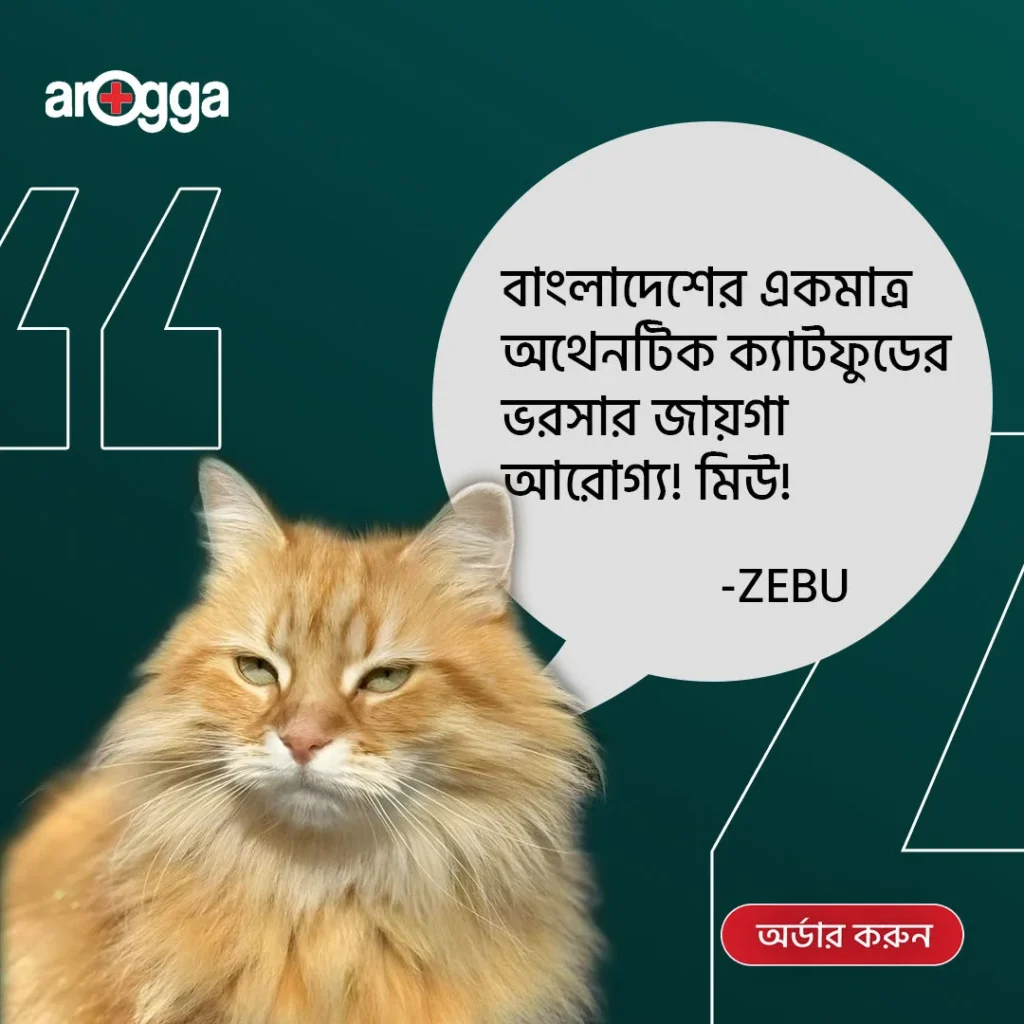 Arogga