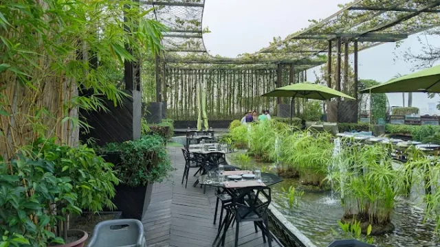 The Green Lounge